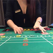 bet44